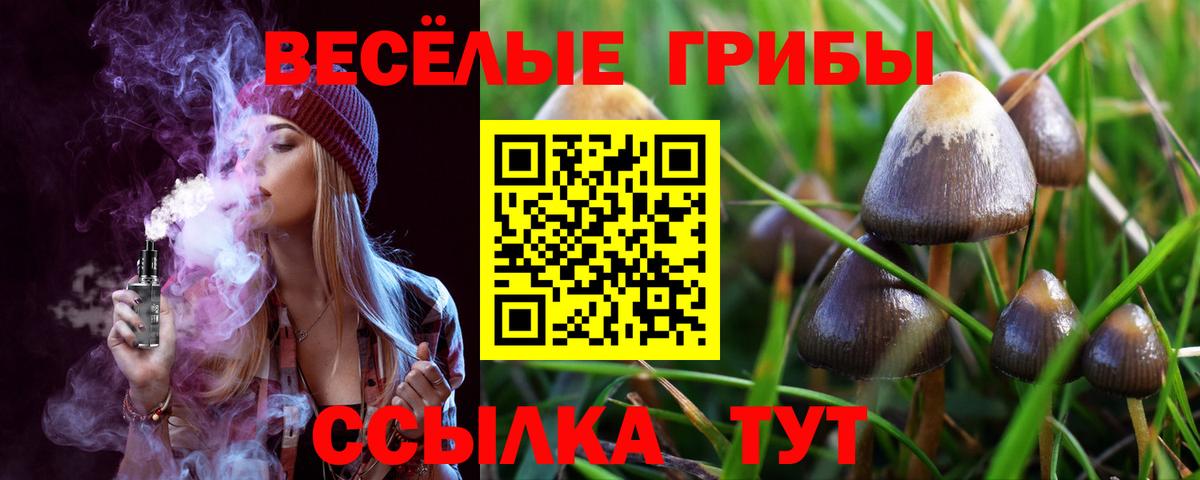 Галлюциногенные грибы Cubensis Анжеро-Судженск
